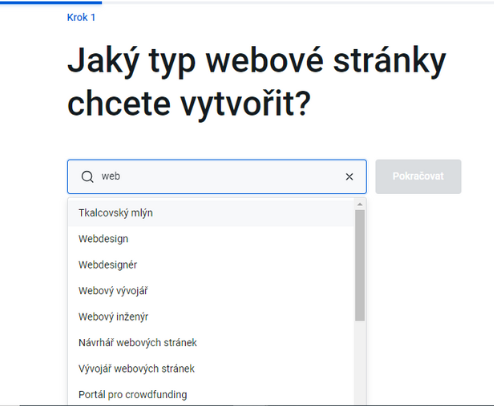 TVORBA WEBU Typ webové stránky